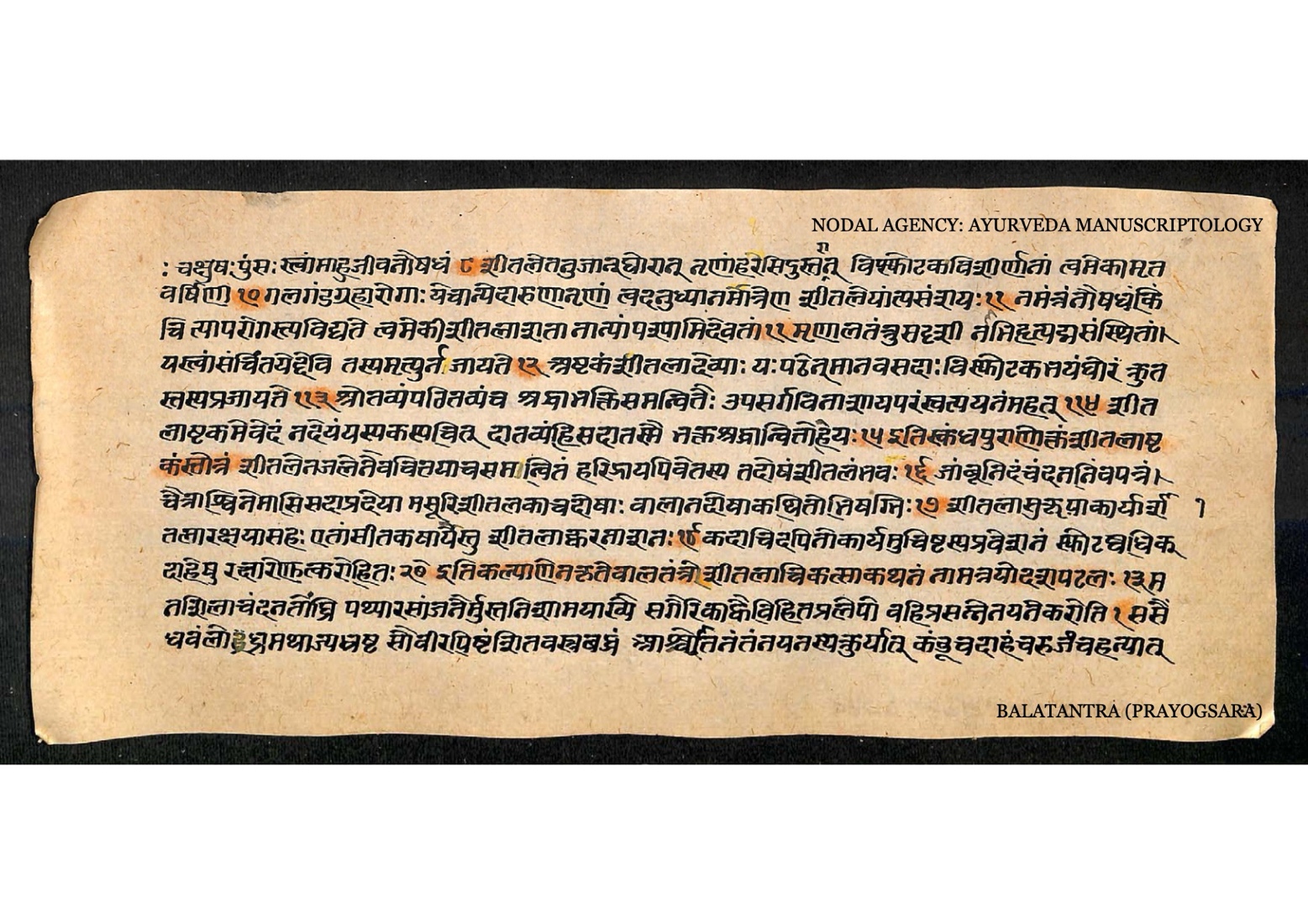 A manuscript page on the worship of the goddess Shitala and remedies for eruptive fevers.