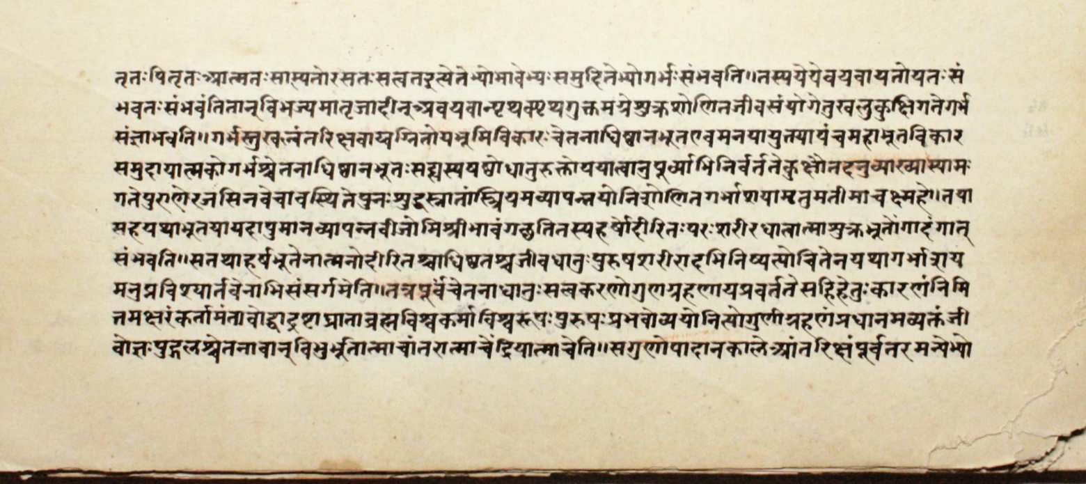 Page of the Carakasaṃhitā describing the formation of the embryo from semen, blood, and self