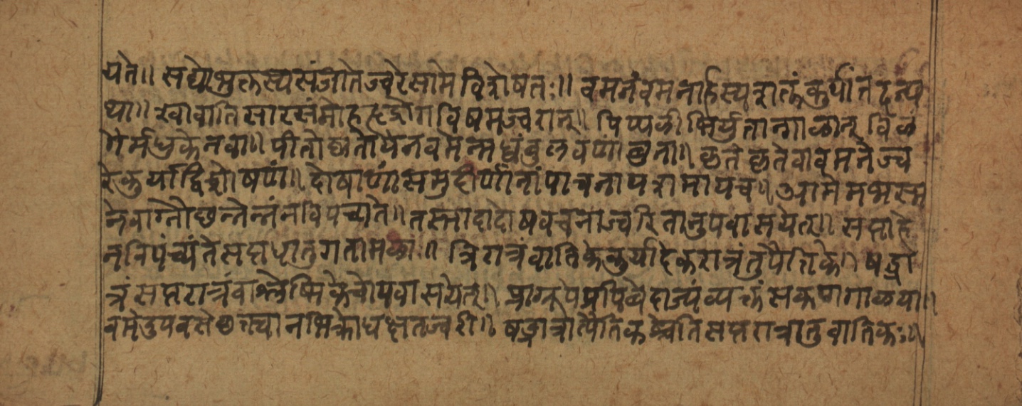 Cikitsāsthāna, page 4