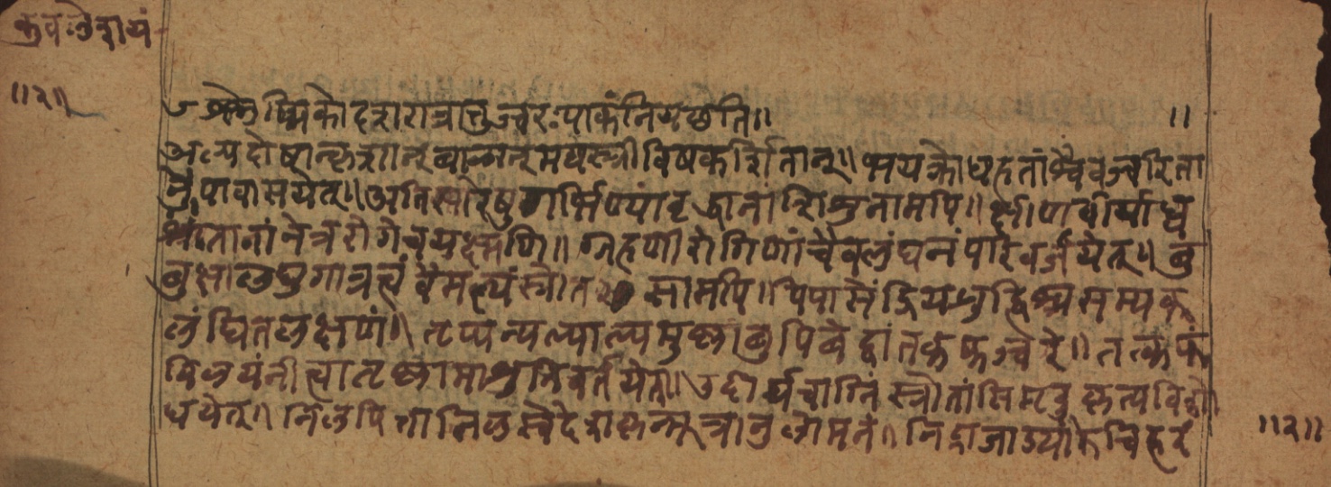 Cikitsāsthāna, page 5