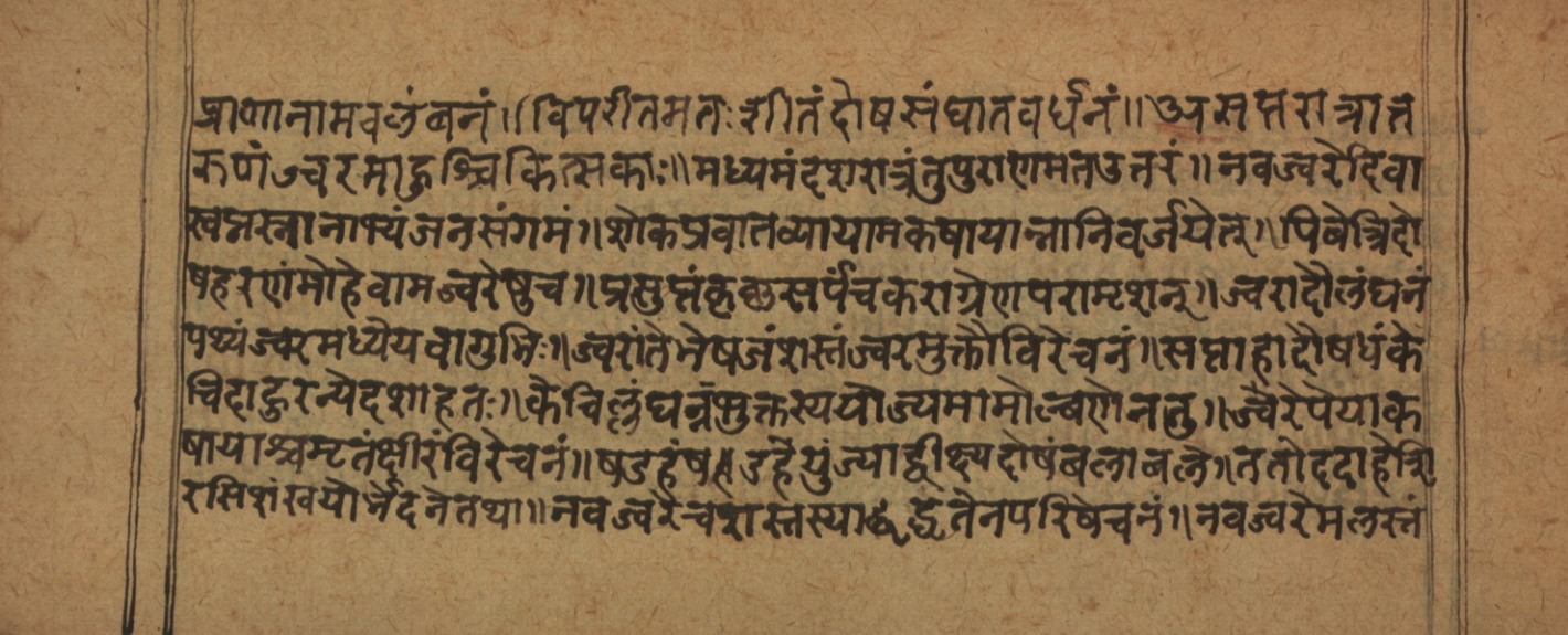 Cikitsāsthāna, page 6