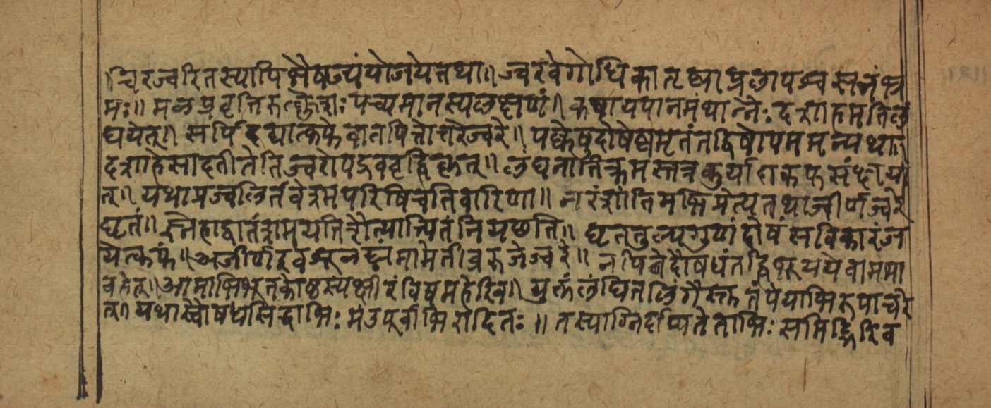 Cikitsāsthāna, page 8