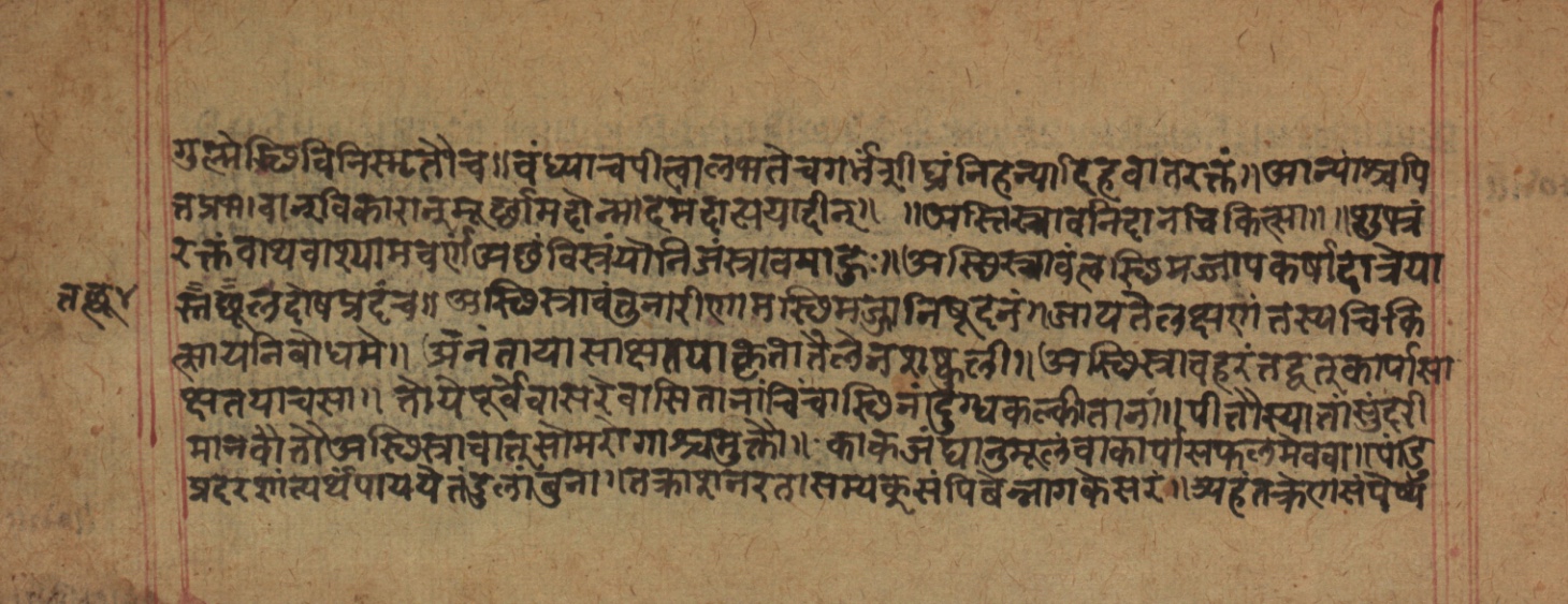 Cikitsāsthāna, page 100