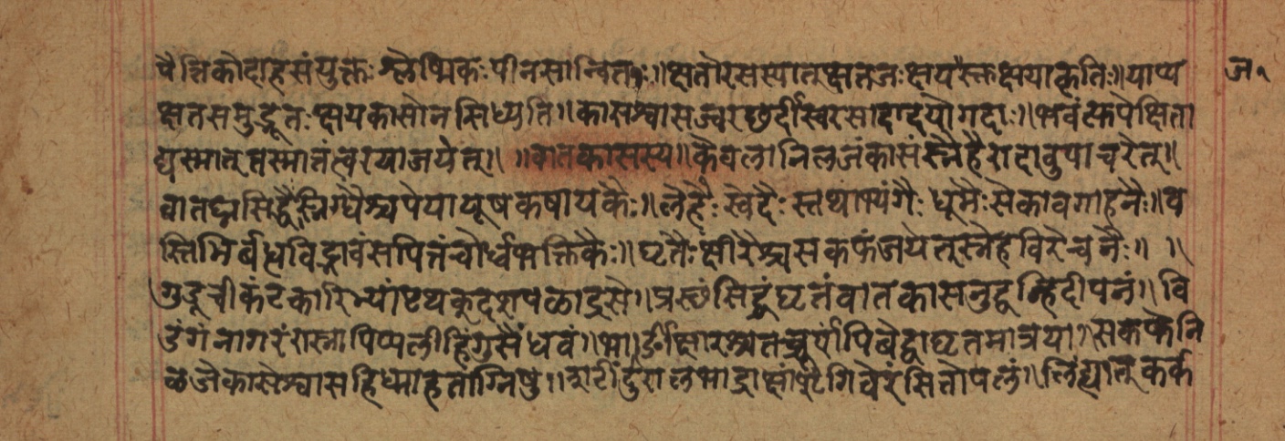 Cikitsāsthāna, page 106
