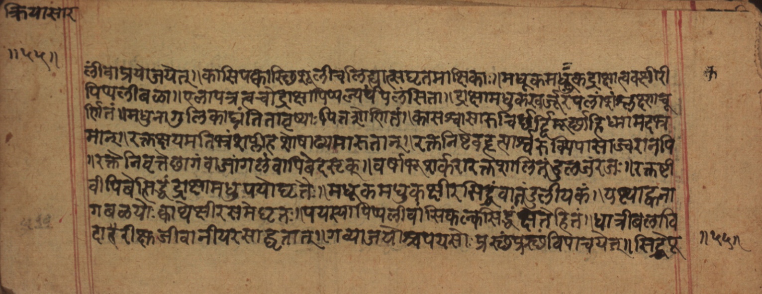 Cikitsāsthāna, page 111