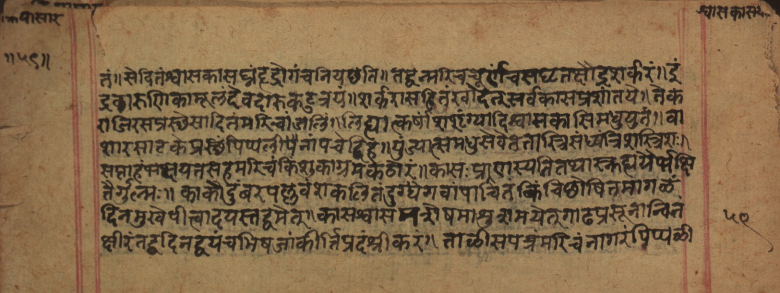 Cikitsāsthāna, page 119