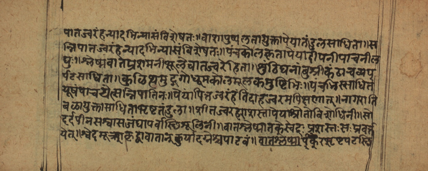 Cikitsāsthāna, page 12