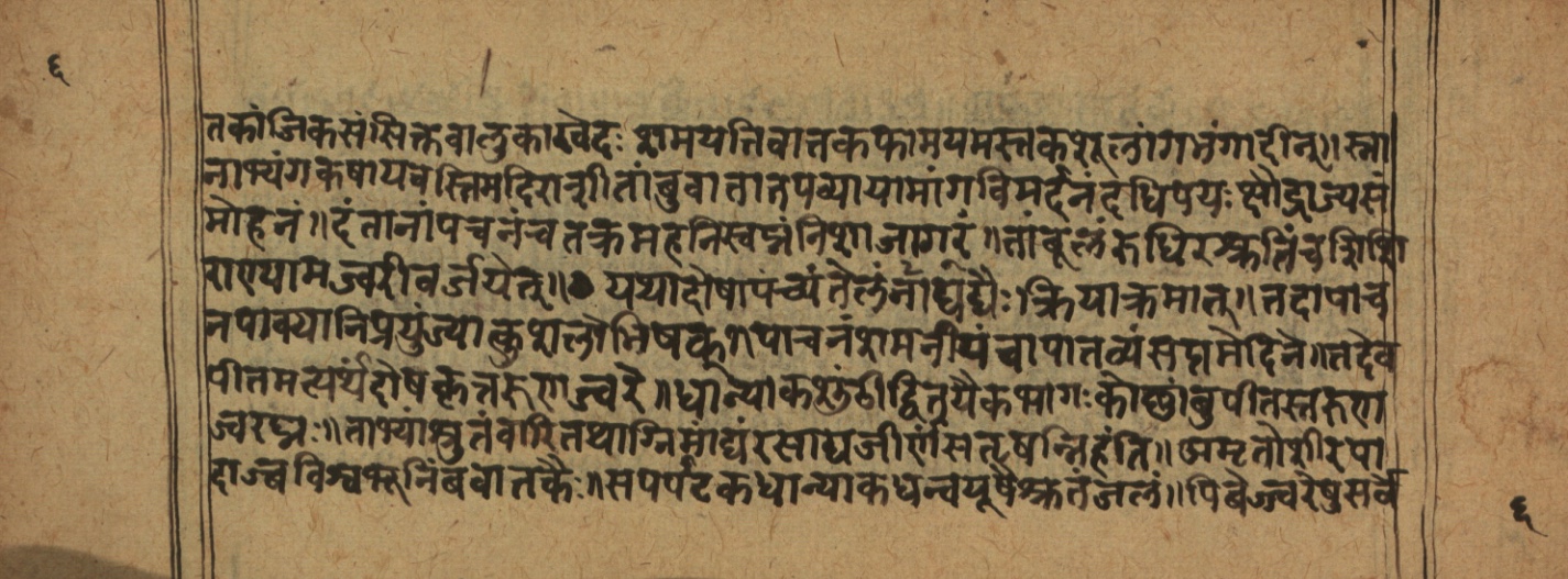 Cikitsāsthāna, page 13