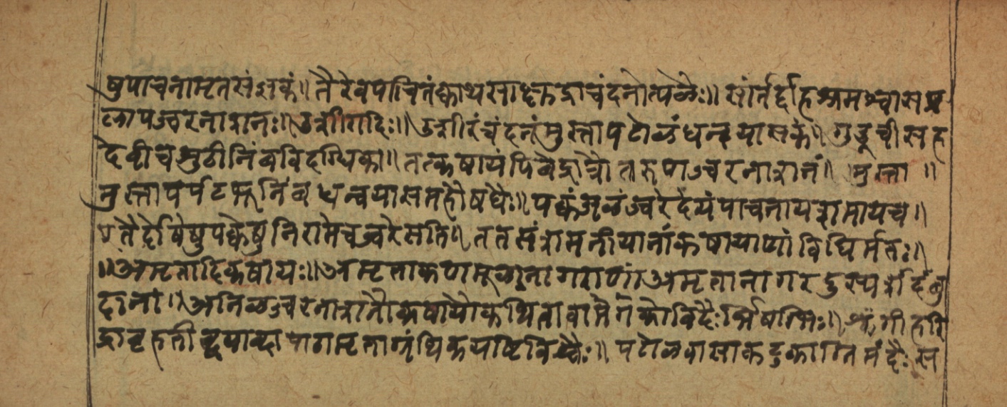 Cikitsāsthāna, page 14