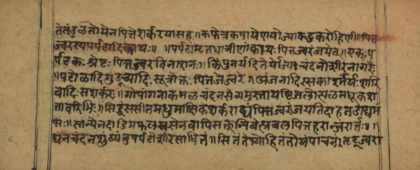 Cikitsāsthāna, page 16