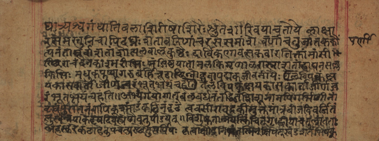 Cikitsāsthāna, page 162