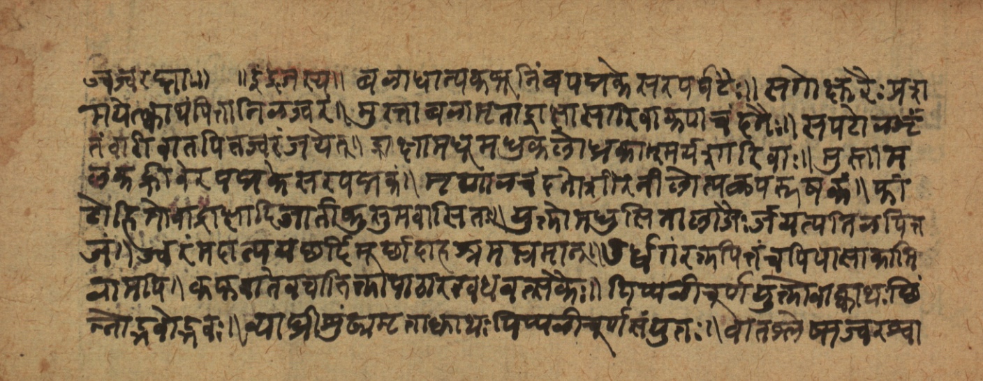 Cikitsāsthāna, page 19