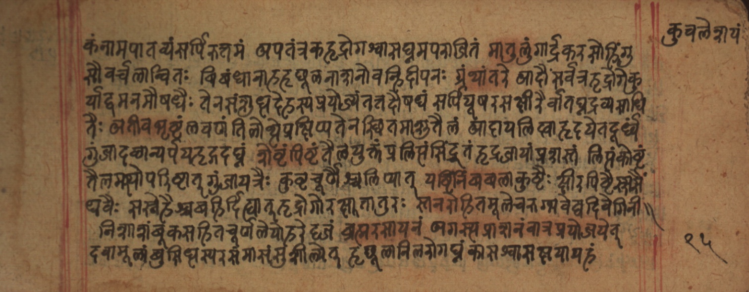 Cikitsāsthāna, page 192