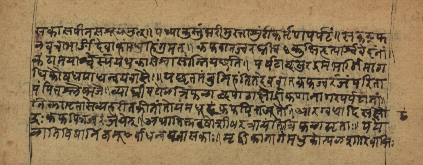 Cikitsāsthāna, page 20