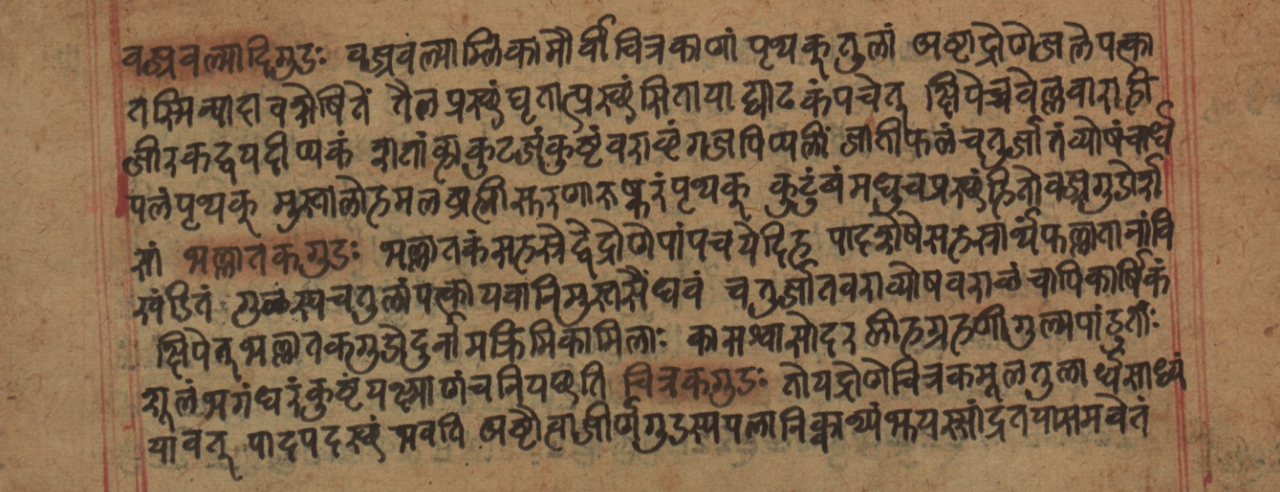 Cikitsāsthāna, page 213