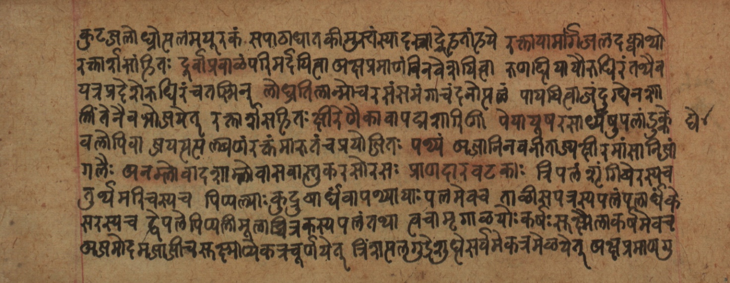 Cikitsāsthāna, page 217