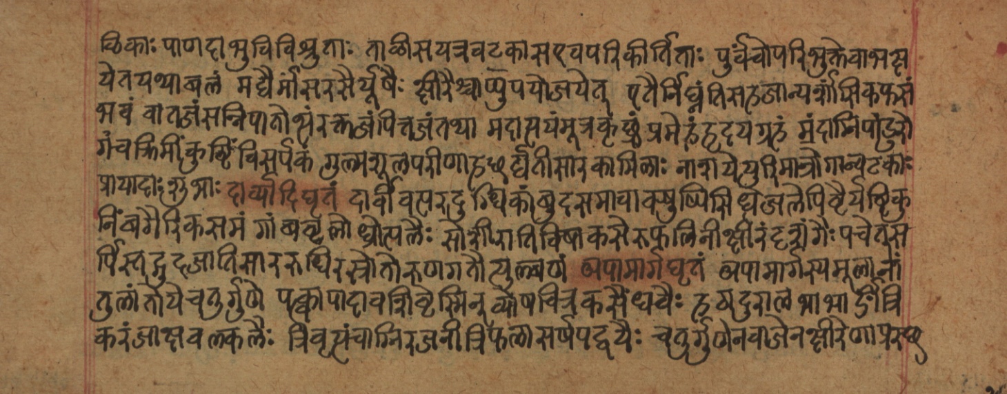 Cikitsāsthāna, page 219