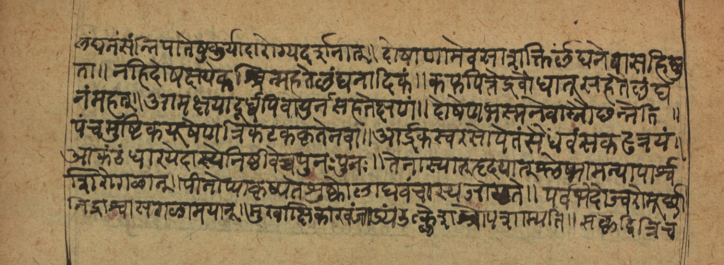 Cikitsāsthāna, page 22