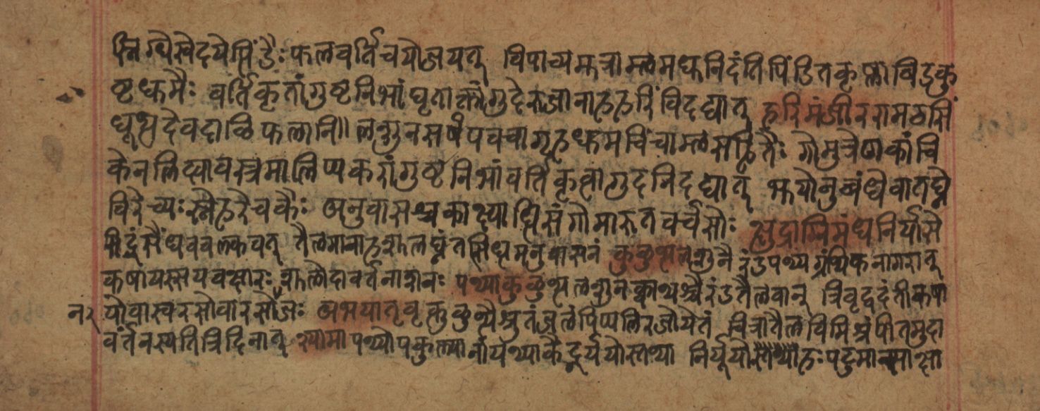 Cikitsāsthāna, page 221