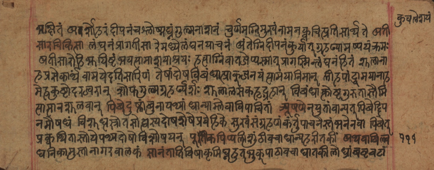 Cikitsāsthāna, page 224