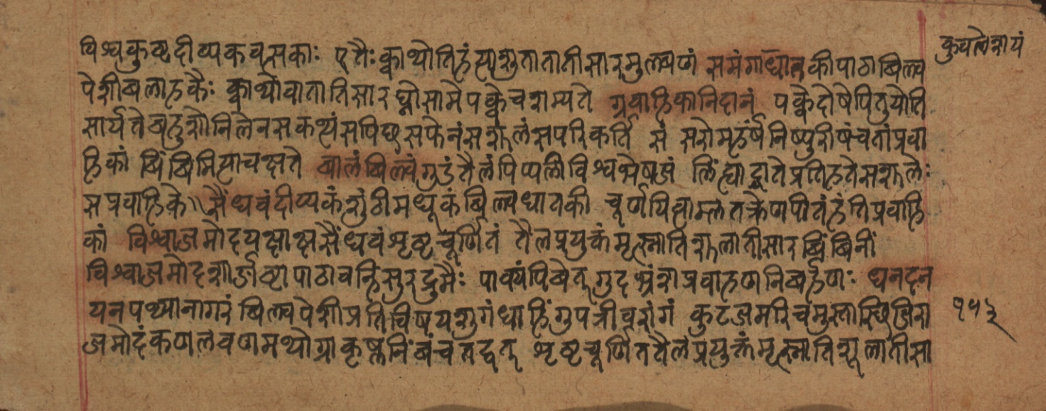 Cikitsāsthāna, page 228