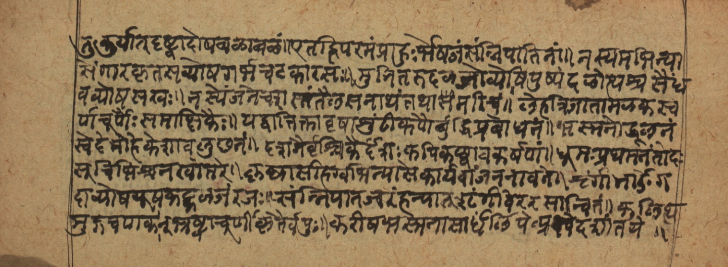 Cikitsāsthāna, page 23