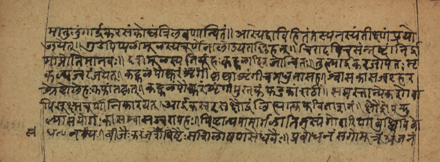 Cikitsāsthāna, page 24