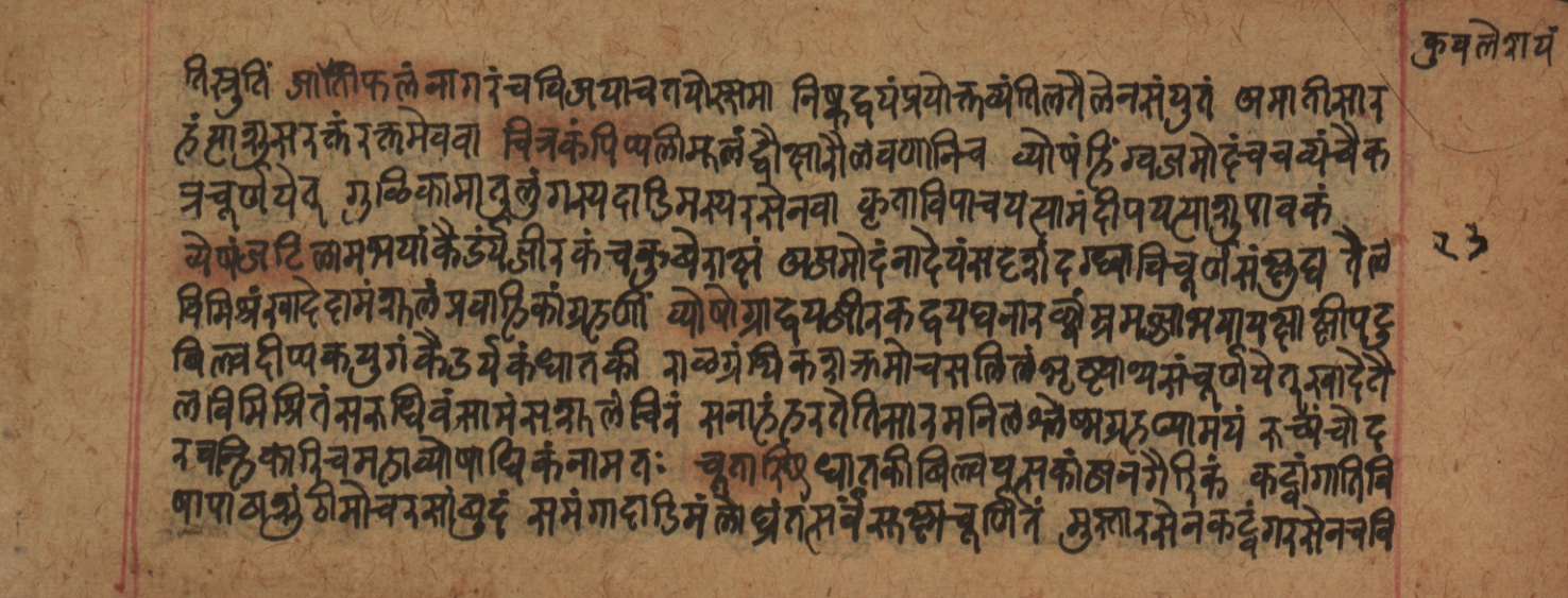 Cikitsāsthāna, page 248