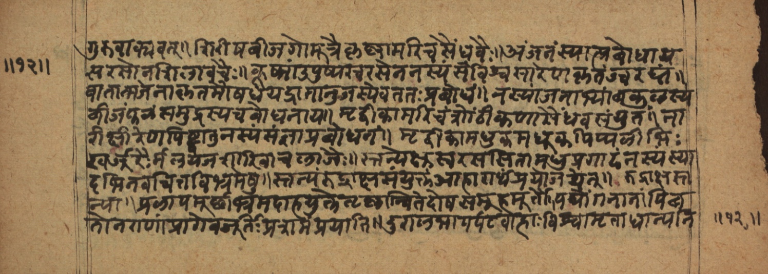 Cikitsāsthāna, page 25