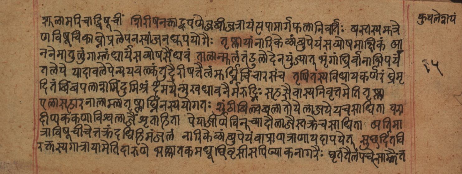 Cikitsāsthāna, page 252