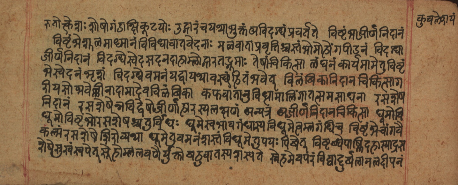 Cikitsāsthāna, page 254
