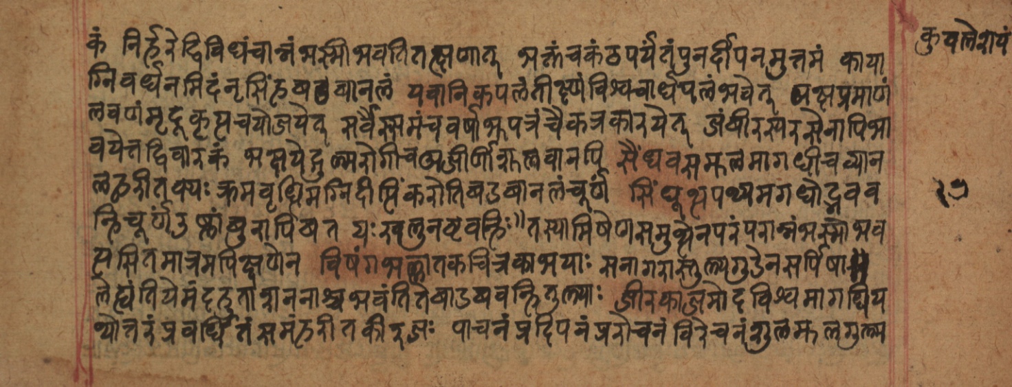 Cikitsāsthāna, page 256