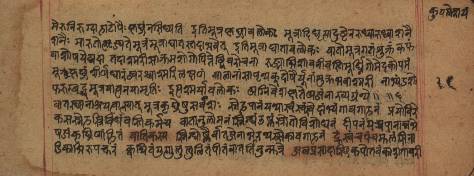 Cikitsāsthāna, page 260