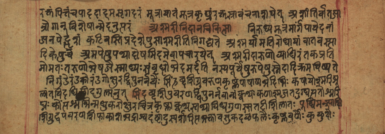 Cikitsāsthāna, page 269