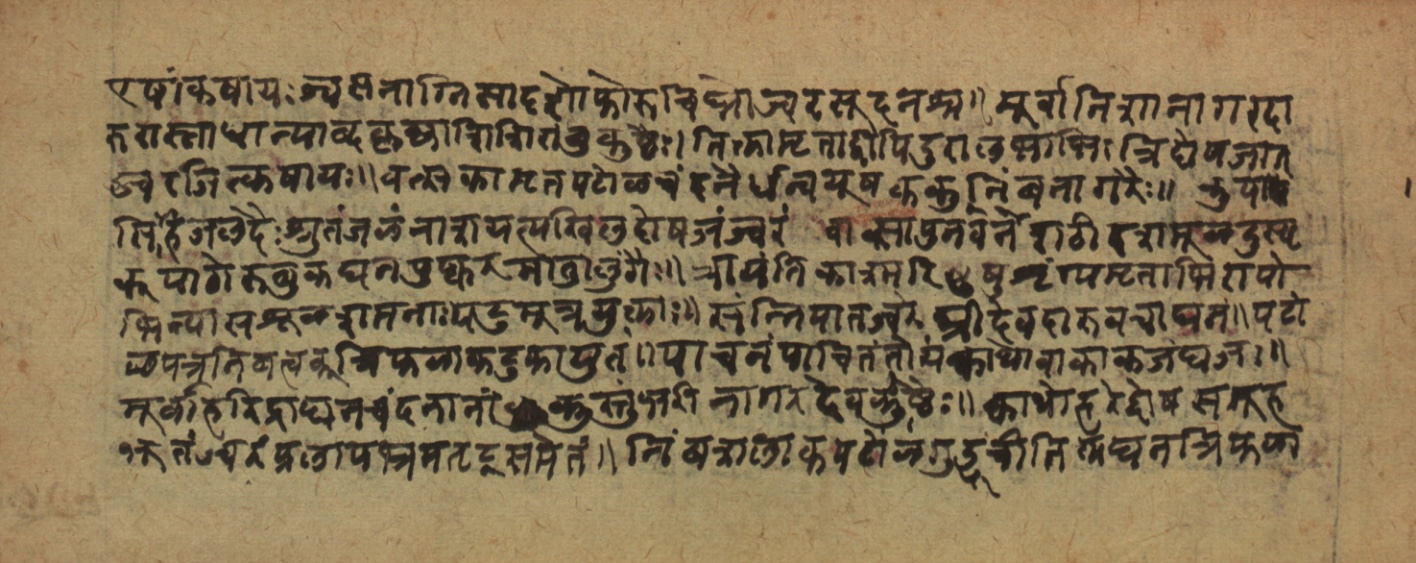 Cikitsāsthāna, page 28