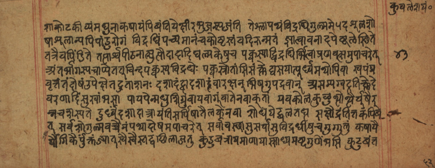 Cikitsāsthāna, page 284