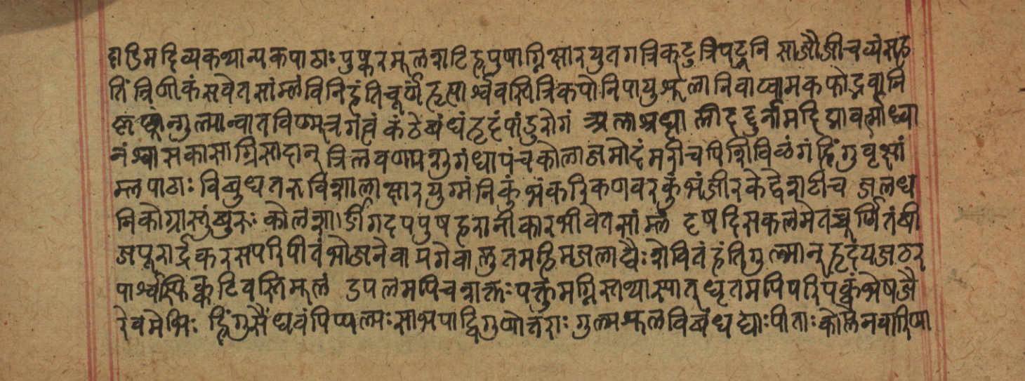Cikitsāsthāna, page 295