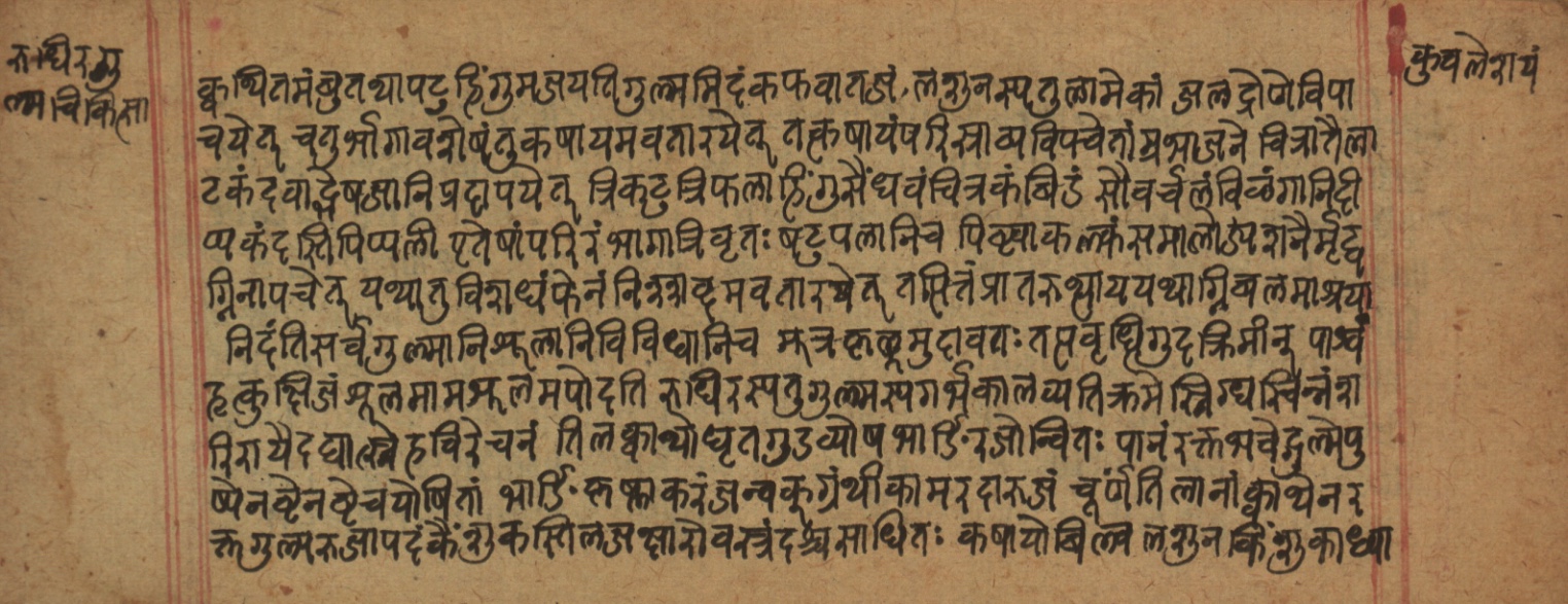 Cikitsāsthāna, page 298