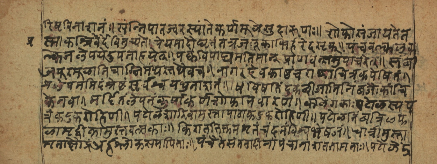 Cikitsāsthāna, page 30