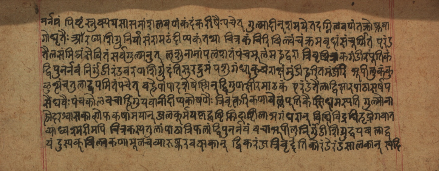 Cikitsāsthāna, page 301