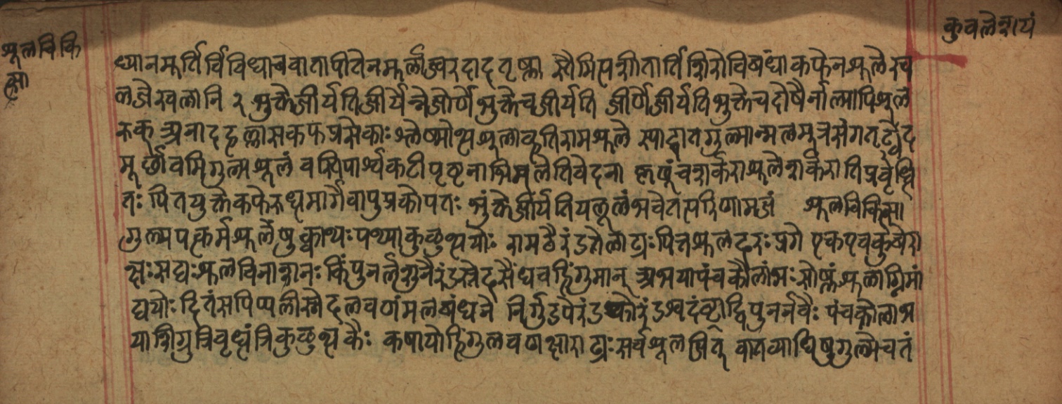 Cikitsāsthāna, page 305