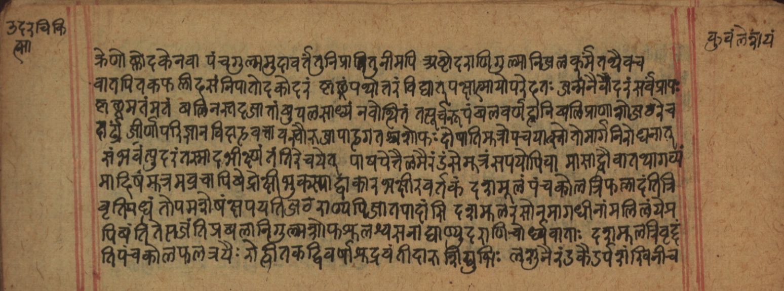 Cikitsāsthāna, page 312