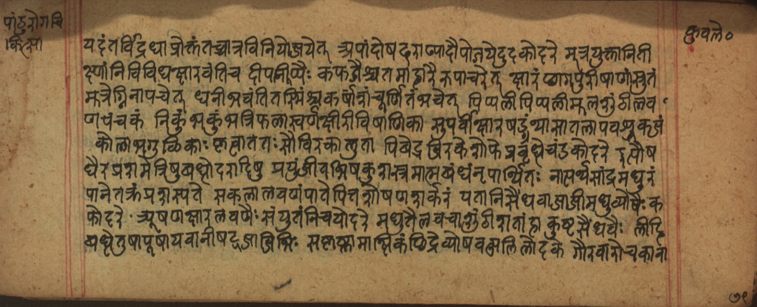 Cikitsāsthāna, page 317