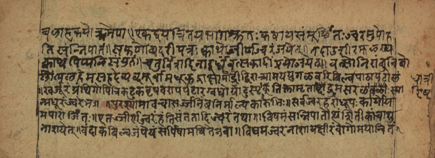 Cikitsāsthāna, page 32