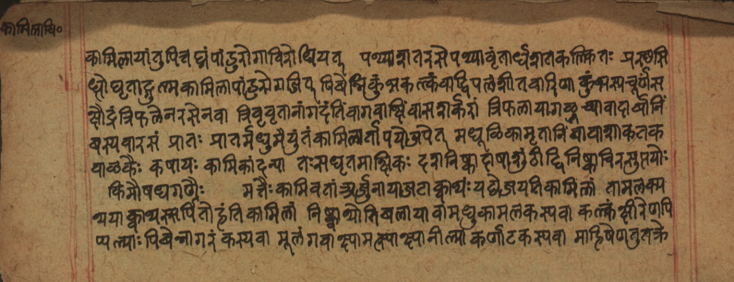 Cikitsāsthāna, page 325