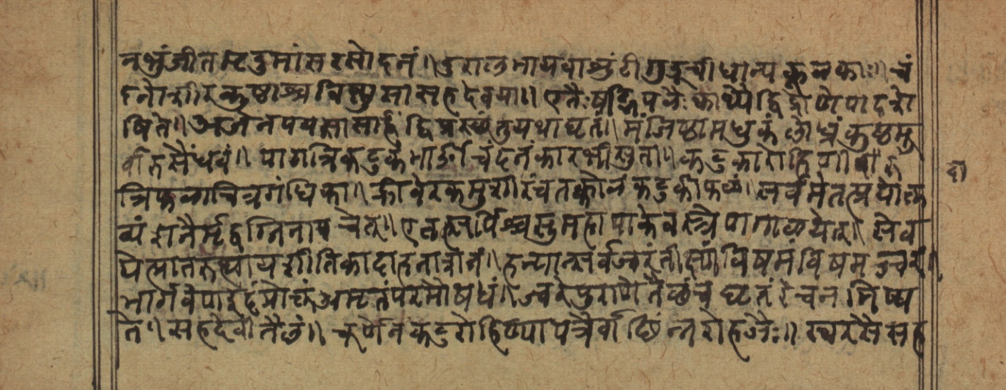 Cikitsāsthāna, page 48