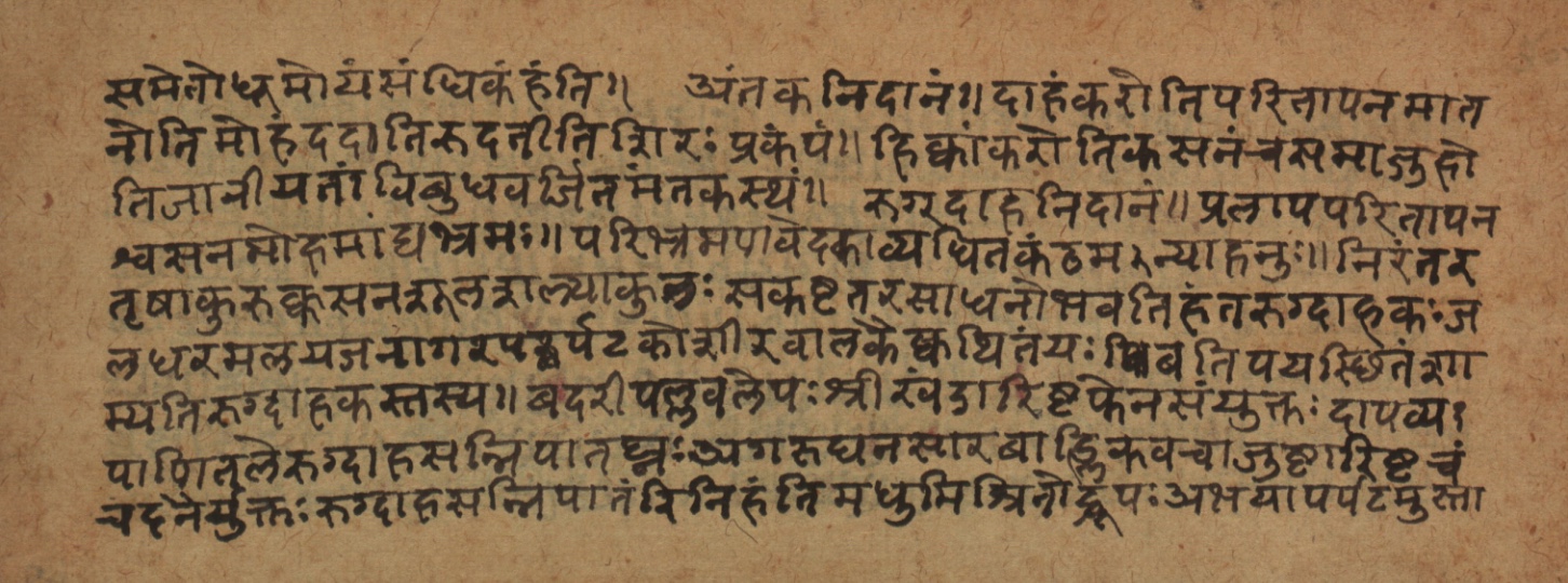 Cikitsāsthāna, page 60