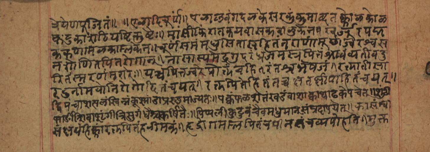 Cikitsāsthāna, page 94