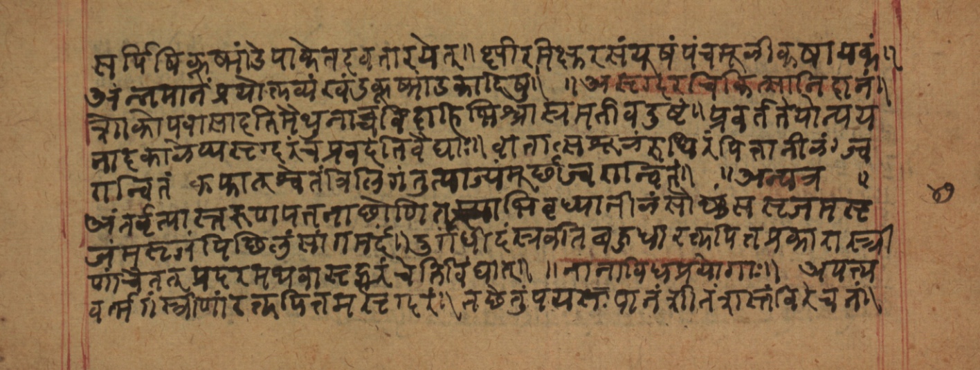 Cikitsāsthāna, page 95