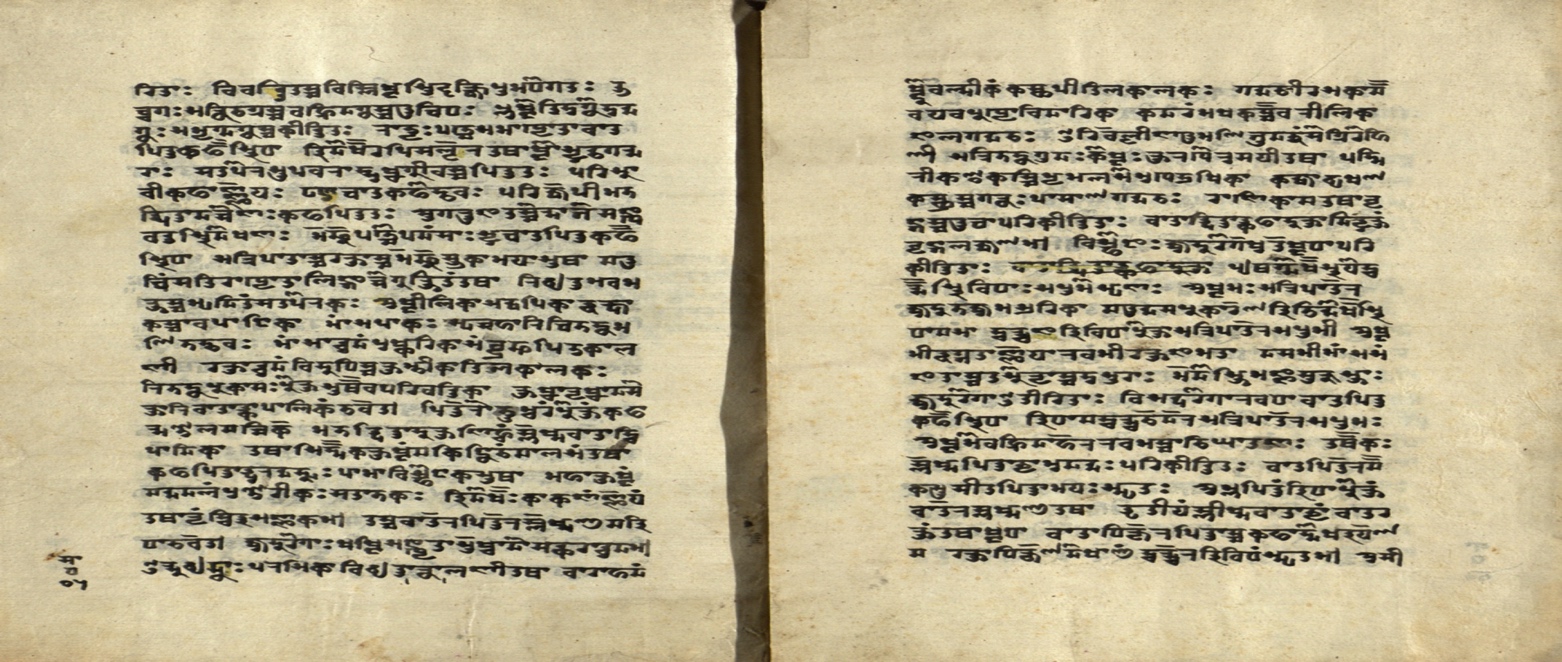 Cikitsāvarṇana (Śārṅgadhara), page 16